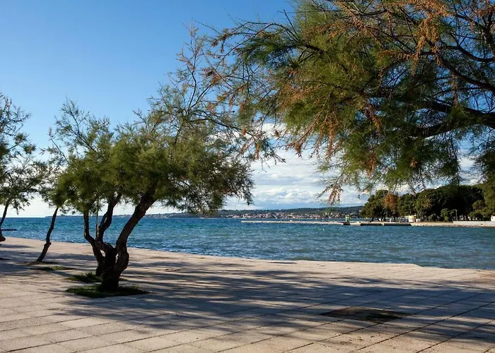 Cvita * Zadar